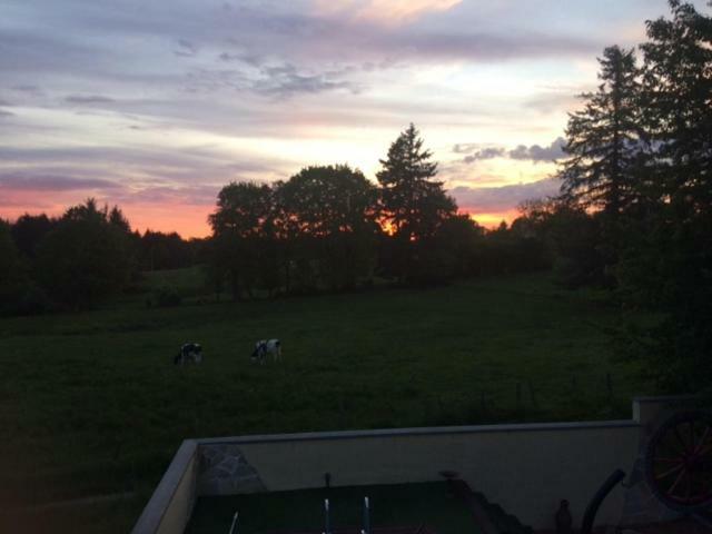 The Lodge Les Dognons Luaran gambar